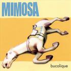 Mimosa - Bucolique