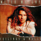 Mitch Malloy - Ceilings & walls