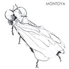 Montoya - Montoya