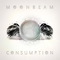 Moonbeam - Consumption