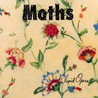 Moths - Lepid Opera
