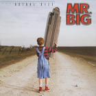 MR. Big - Actual Size