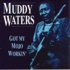 Muddy Waters - Got My Mojo Workin'