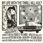 My Life with the Thrill Kill Kult - Hit & Run Holiday