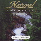 Natural Archives - Spring Stream
