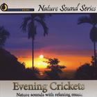 Nature Sound Series - Evening Crickets (With Relaxing Music)