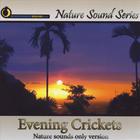 Nature Sound Series - Evening Crickets (Nature Sounds Only version)