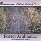 Nature Sound Series - Forest Ambience (Nature sounds only version)