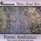 Forest Ambience (with relaxing music)
