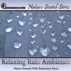 Nature Sound Series - Relaxing Rain Ambience (With relaxing music)