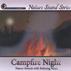 Nature Sound Series - Campfire Night (With relaxing music)