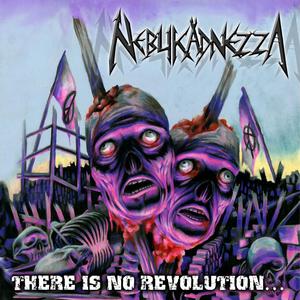 There Is No Revolution