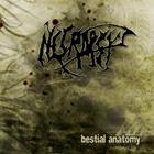 Necropsy - Bestial Anatomy