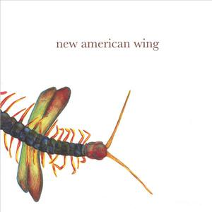 New American Wing