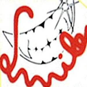 Smile (CDS)