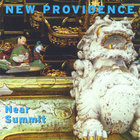 New Providence - Near Summit