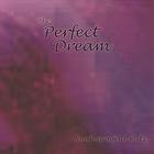 Noah Grosfeld-Katz - The Perfect Dream