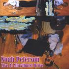 Noah Peterson - Live at Marylhurst Drive