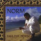 Norm - Just The Norm