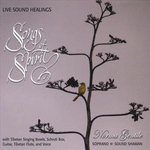 Songs of Spirit - Live Sound Healings