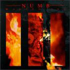 Numb - Wasted Sky