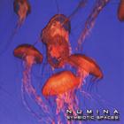 Numina - Symbiotic Spaces