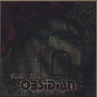Cellar Door