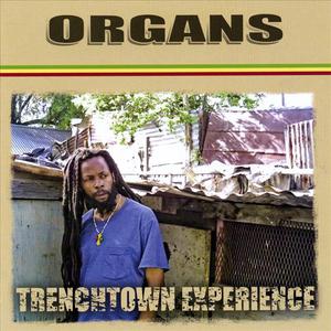 Trenchtown Experience