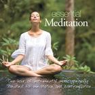 Patrick Kelly - Essential Meditation
