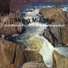 Paul McBride - String Musings