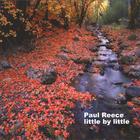 Paul Reece - little by little