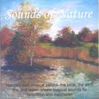 Perry Rotwein - Sounds Of Nature