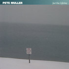 Pete Muller - Just One Lifetime
