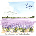 Peter Boehling and the Best LIfe Band - Sage