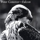 Peter Conover - Falcon