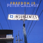 Peter Gallway - Freedom Is