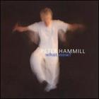 Peter Hammill - What, Now