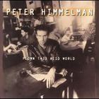 Peter Himmelman - Flown This Acid World