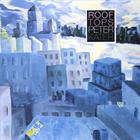 Peter Kater - Rooftops
