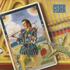 Peter Kater - The Fool & The Hummingbird