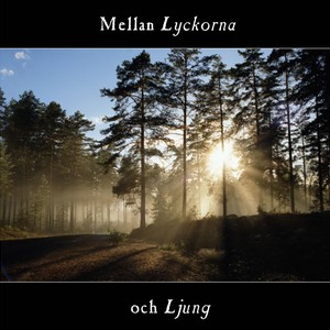 Mellan Lyckorna Och Ljung