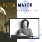Peter Mayer - Uncrowded Sky