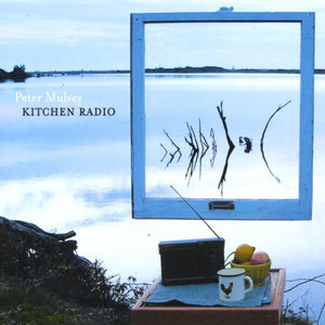 Kitchen Radio