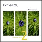 Pia Fridhill Trio - Triptychon Part II - This moment...