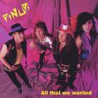PIN UPS - All That We Wanted