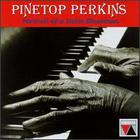 Pinetop Perkins - Portrait of a Delta Bluesman