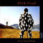 Pink Floyd - Delicate Sound Of Thunder CD1