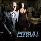 Pitbull - Shut it Down (CDS)