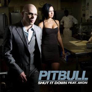 Shut it Down (CDS)