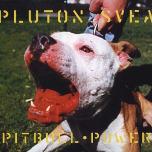 Pitbull Power